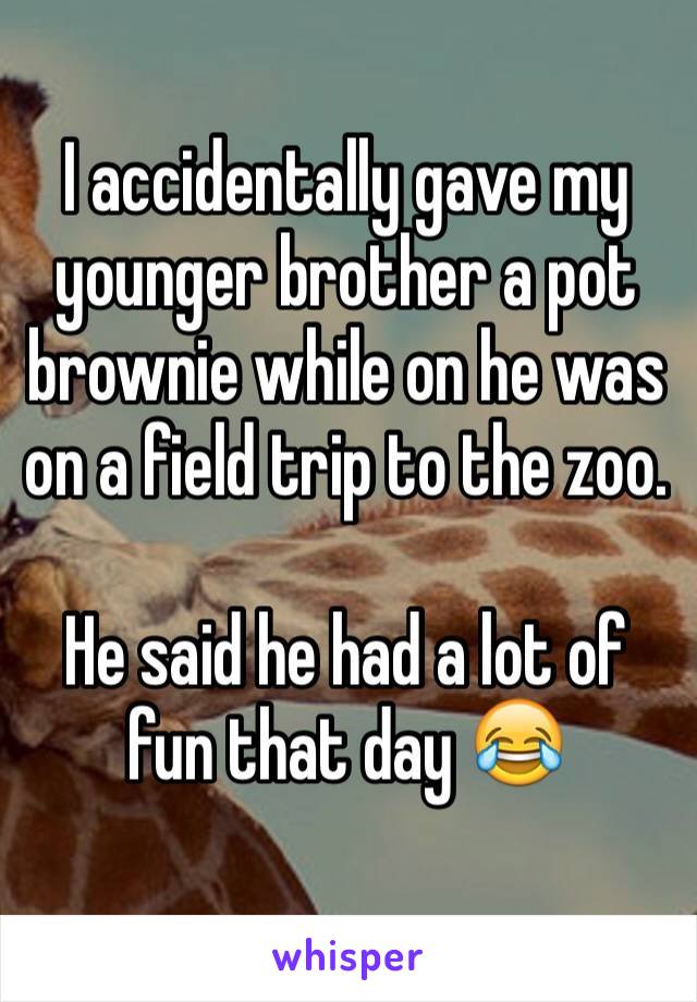 I accidentally gave my younger brother a pot brownie while on he was on a field trip to the zoo.  

He said he had a lot of fun that day 😂