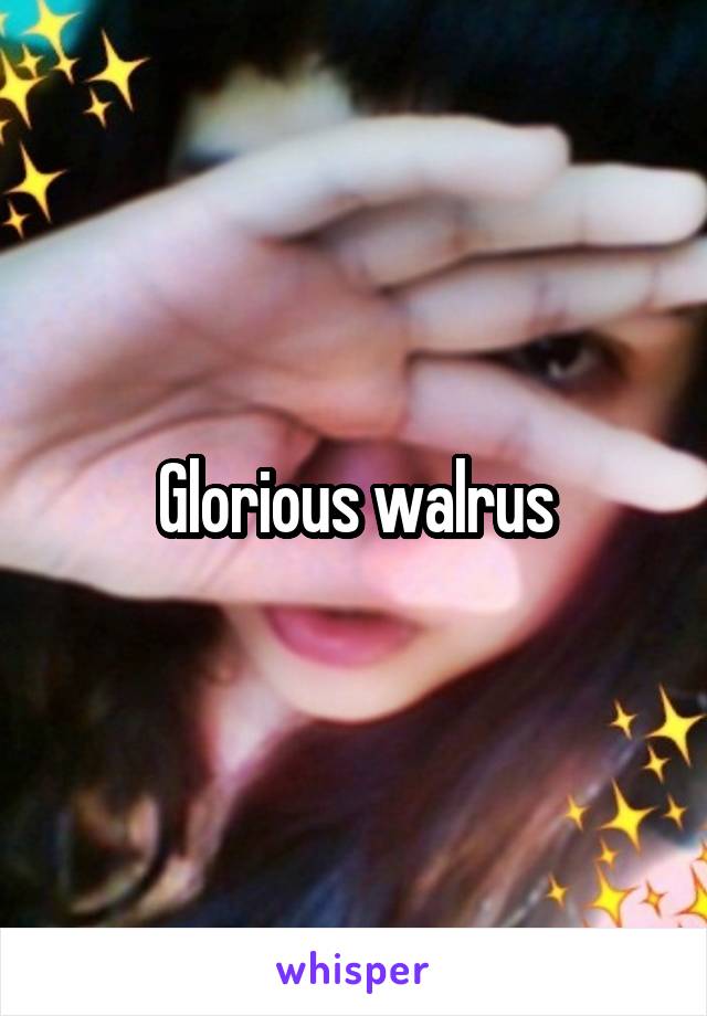 Glorious walrus