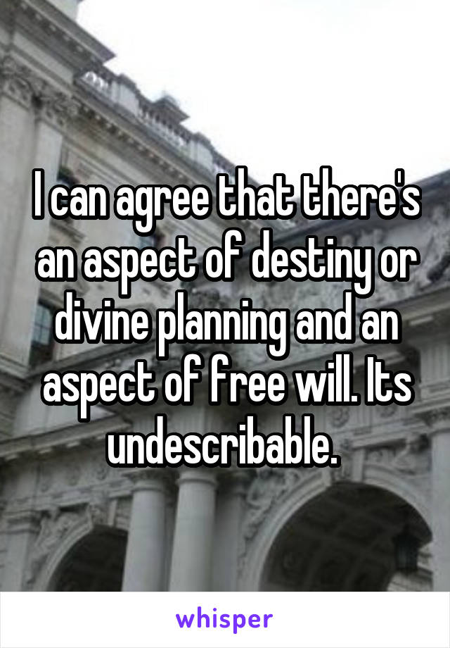 I can agree that there's an aspect of destiny or divine planning and an aspect of free will. Its undescribable. 