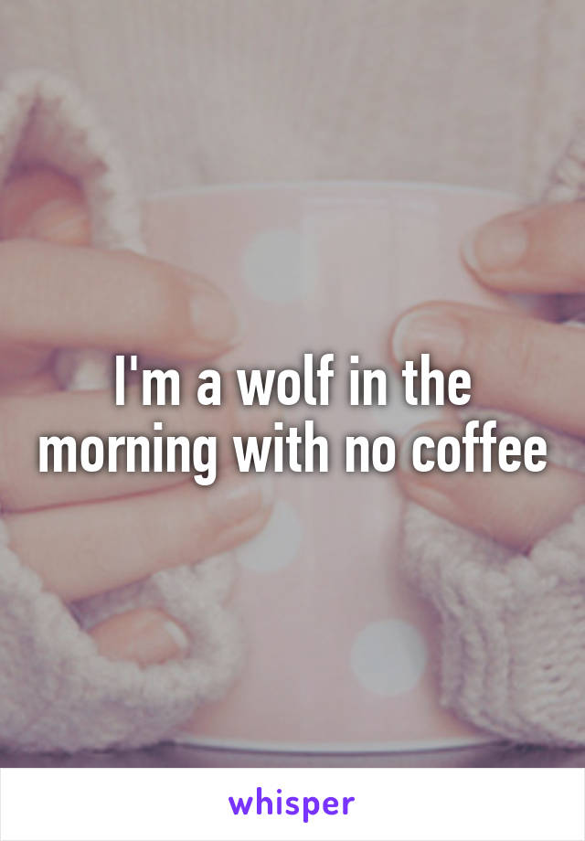 I'm a wolf in the morning with no coffee