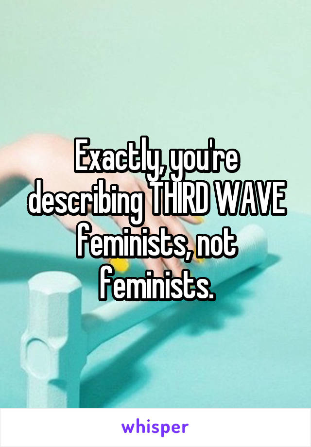 Exactly, you're describing THIRD WAVE feminists, not feminists.