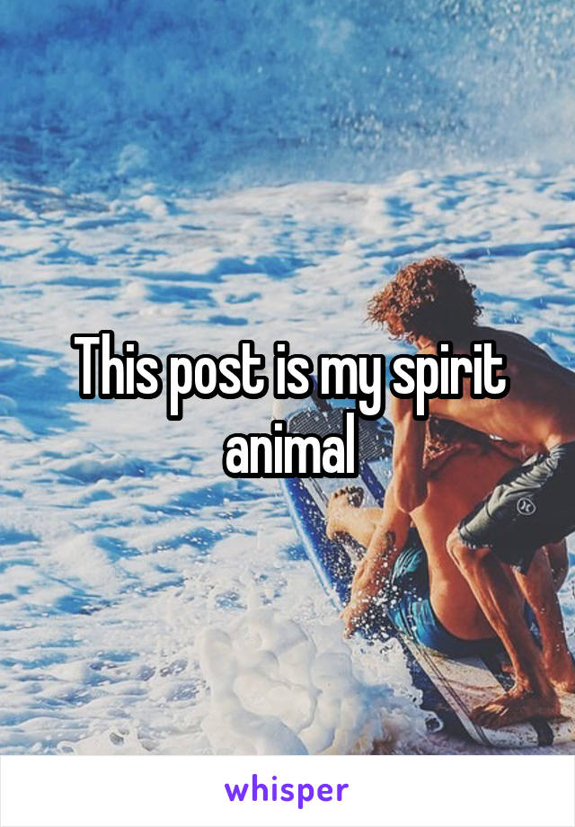 This post is my spirit animal