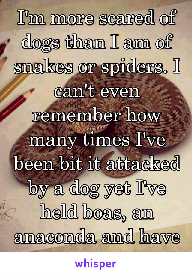 I'm more scared of dogs than I am of snakes or spiders. I can't even remember how many times I've been bit it attacked by a dog yet I've held boas, an anaconda and have never been bit
