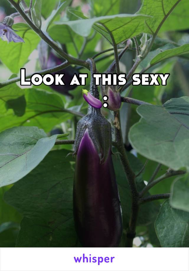 Look at this sexy 🍆: