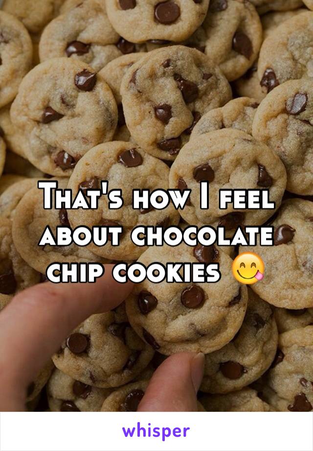 That's how I feel about chocolate chip cookies 😋