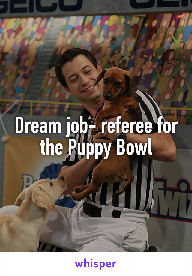 Dream job- referee for the Puppy Bowl