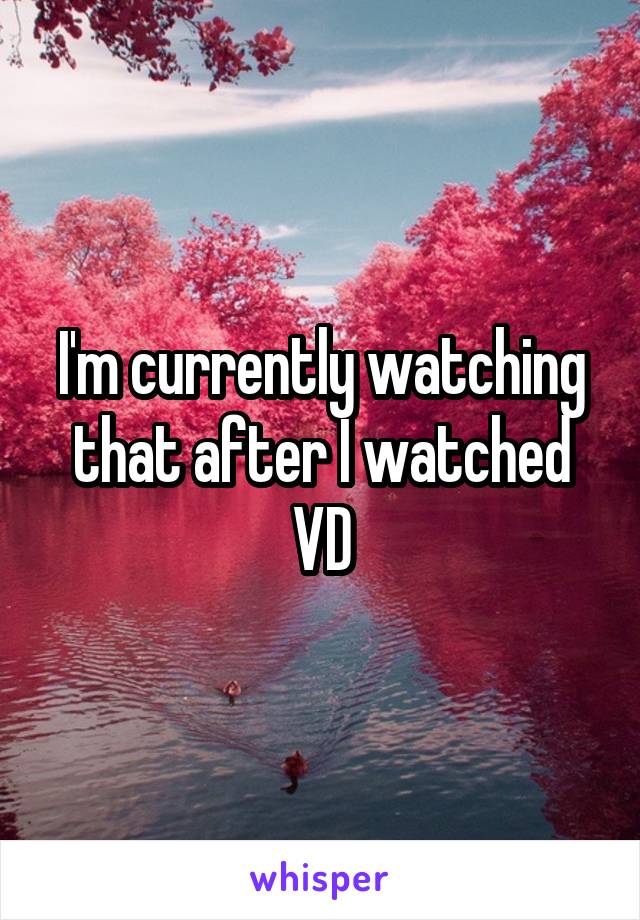 I'm currently watching that after I watched VD