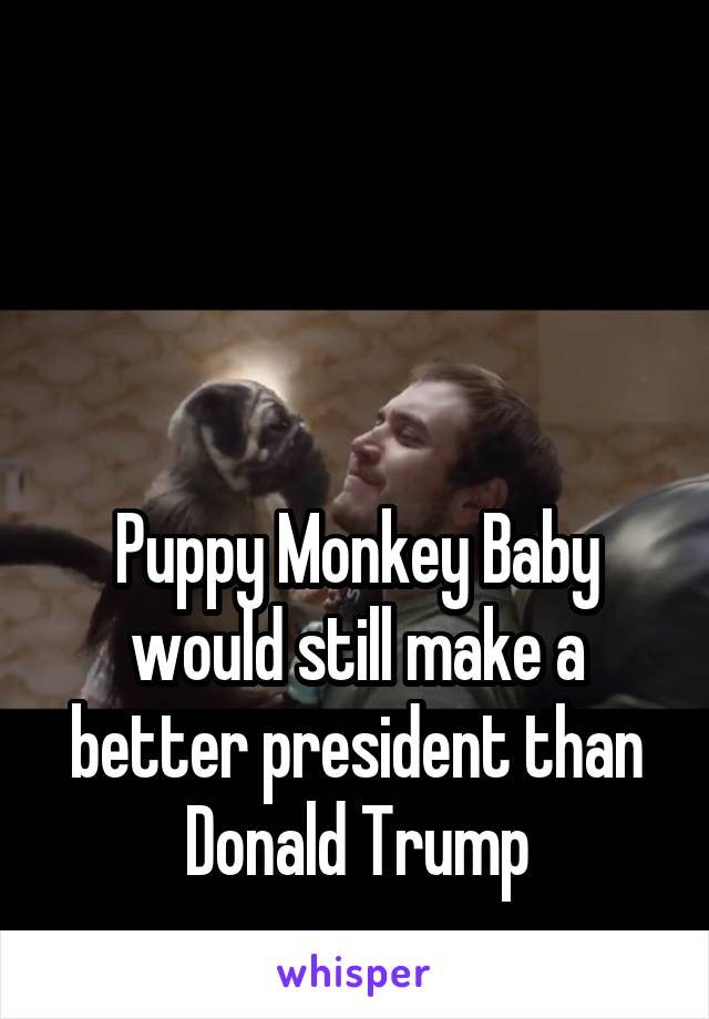 



Puppy Monkey Baby would still make a better president than Donald Trump