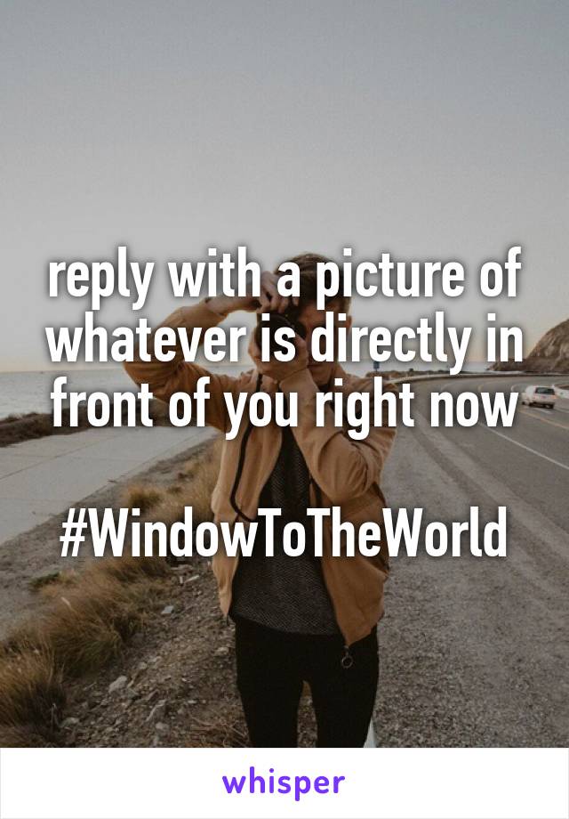 reply with a picture of whatever is directly in front of you right now

#WindowToTheWorld