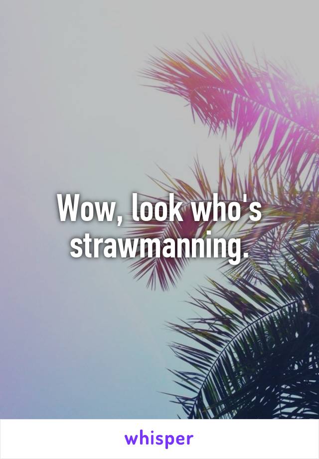 Wow, look who's strawmanning.