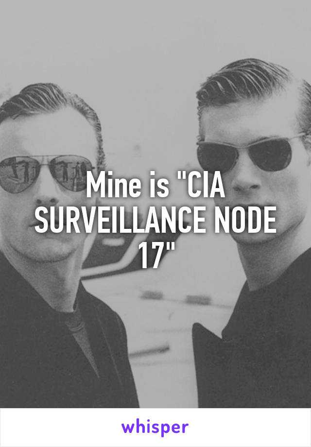 Mine is "CIA SURVEILLANCE NODE 17"