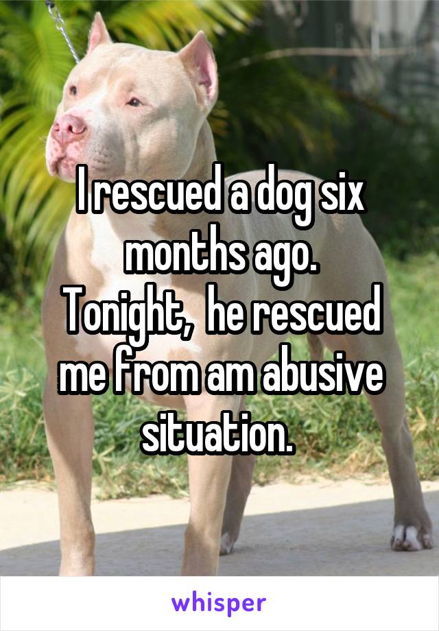 I rescued a dog six months ago.
Tonight,  he rescued me from am abusive situation. 