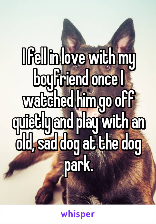 I fell in love with my boyfriend once I watched him go off quietly and play with an old, sad dog at the dog park.