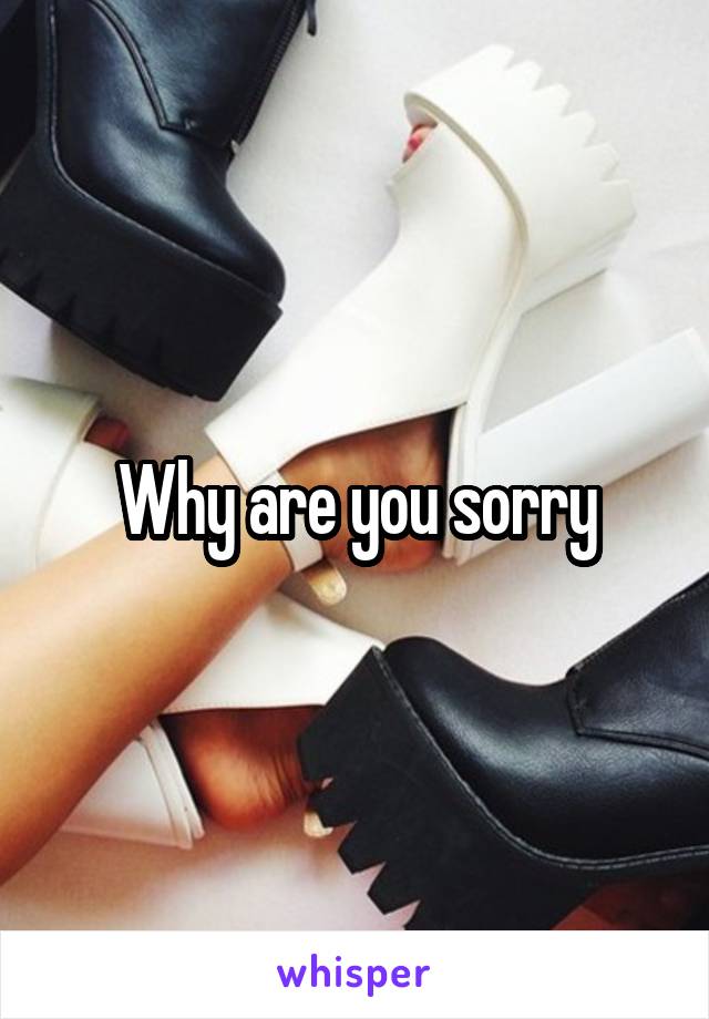 Why are you sorry