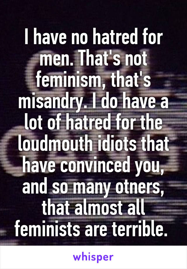 I have no hatred for men. That's not feminism, that's misandry. I do have a lot of hatred for the loudmouth idiots that have convinced you, and so many otners, that almost all feminists are terrible. 