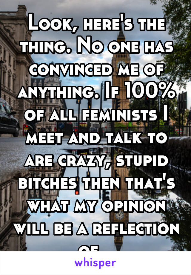 Look, here's the thing. No one has convinced me of anything. If 100% of all feminists I meet and talk to are crazy, stupid bitches then that's what my opinion will be a reflection of...