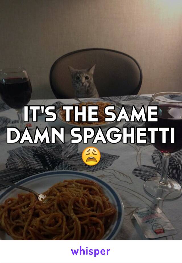 IT'S THE SAME DAMN SPAGHETTI 😩