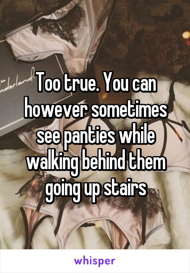 Too true. You can however sometimes see panties while walking behind them going up stairs