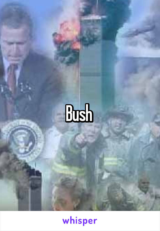 Bush 