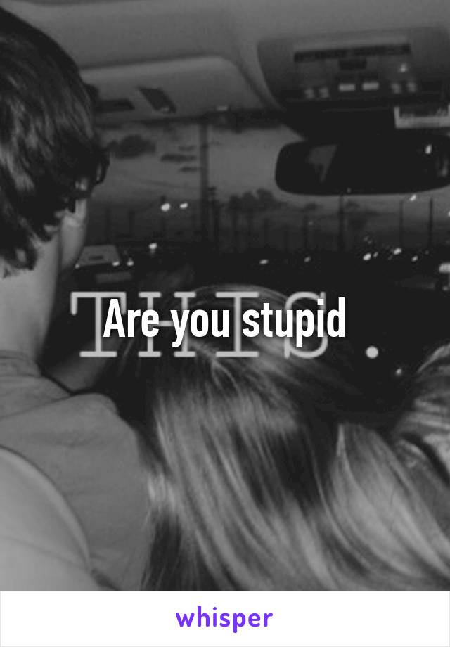 Are you stupid