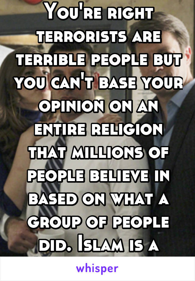 You're right terrorists are terrible people but you can't base your opinion on an entire religion that millions of people believe in based on what a group of people did. Islam is a religion of peace 