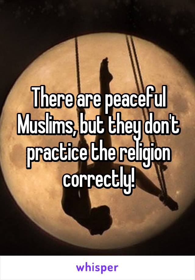 There are peaceful Muslims, but they don't practice the religion correctly!