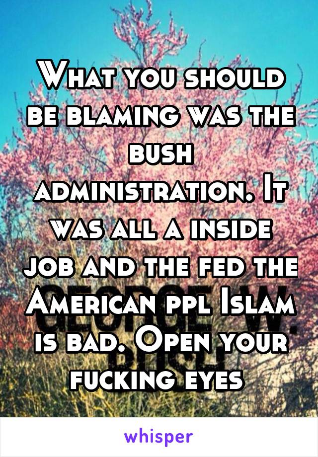 What you should be blaming was the bush administration. It was all a inside job and the fed the American ppl Islam is bad. Open your fucking eyes 