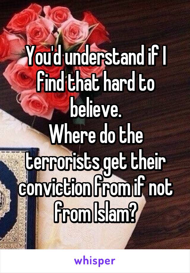 You'd understand if I find that hard to believe.
Where do the terrorists get their conviction from if not from Islam?