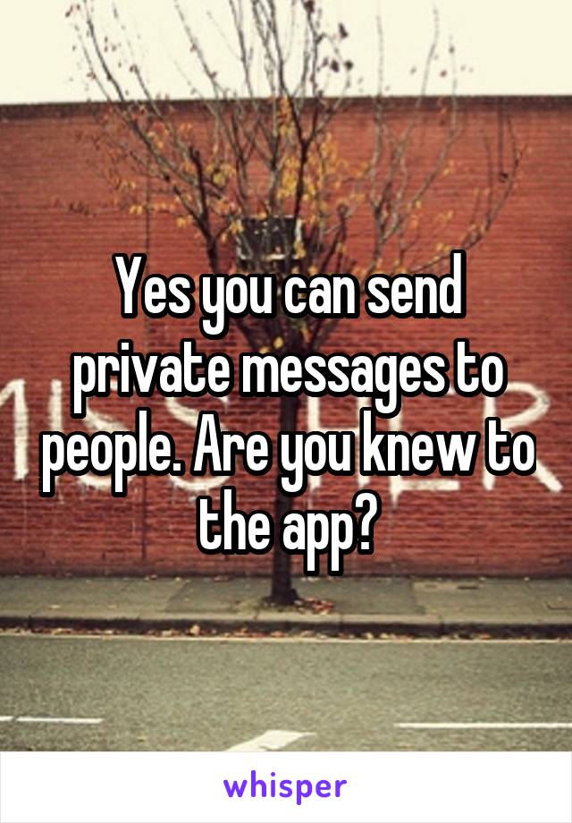 Yes you can send private messages to people. Are you knew to the app?