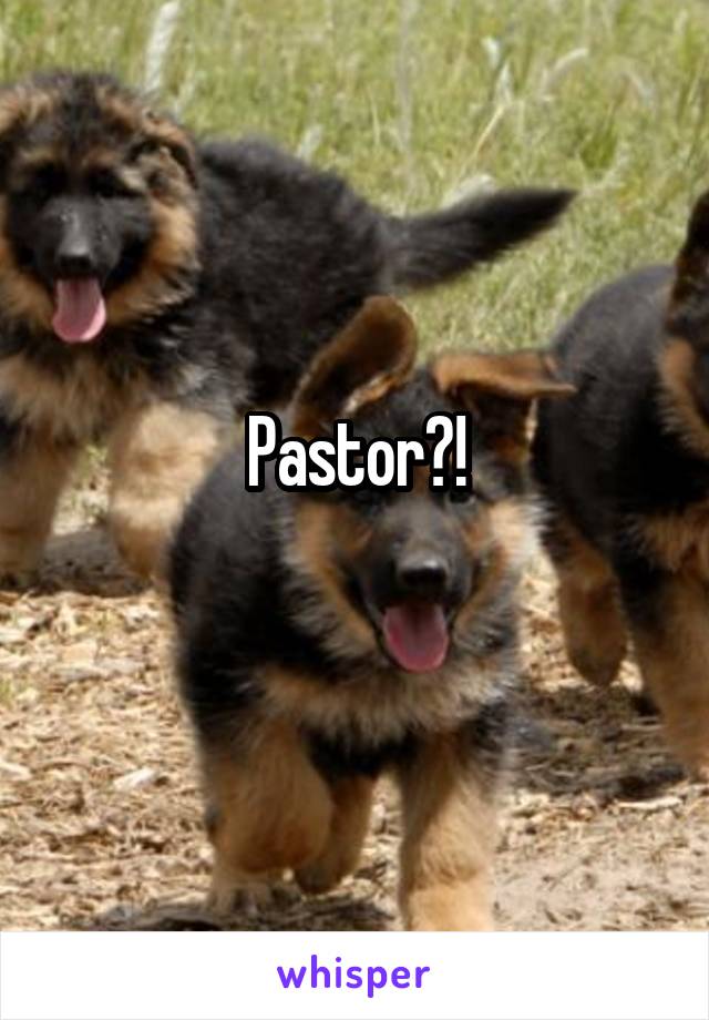 Pastor?!
