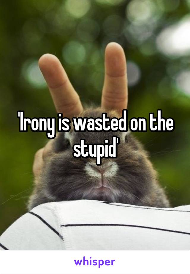 'Irony is wasted on the stupid'