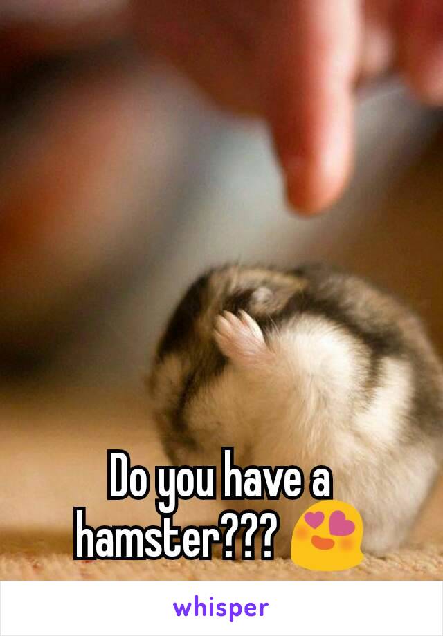 Do you have a hamster??? 😍