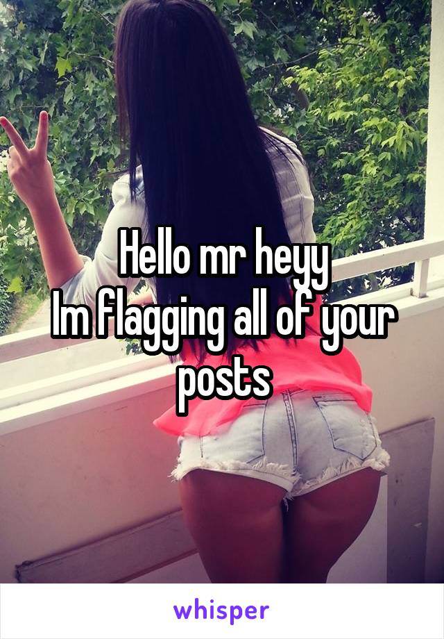 Hello mr heyy
Im flagging all of your posts