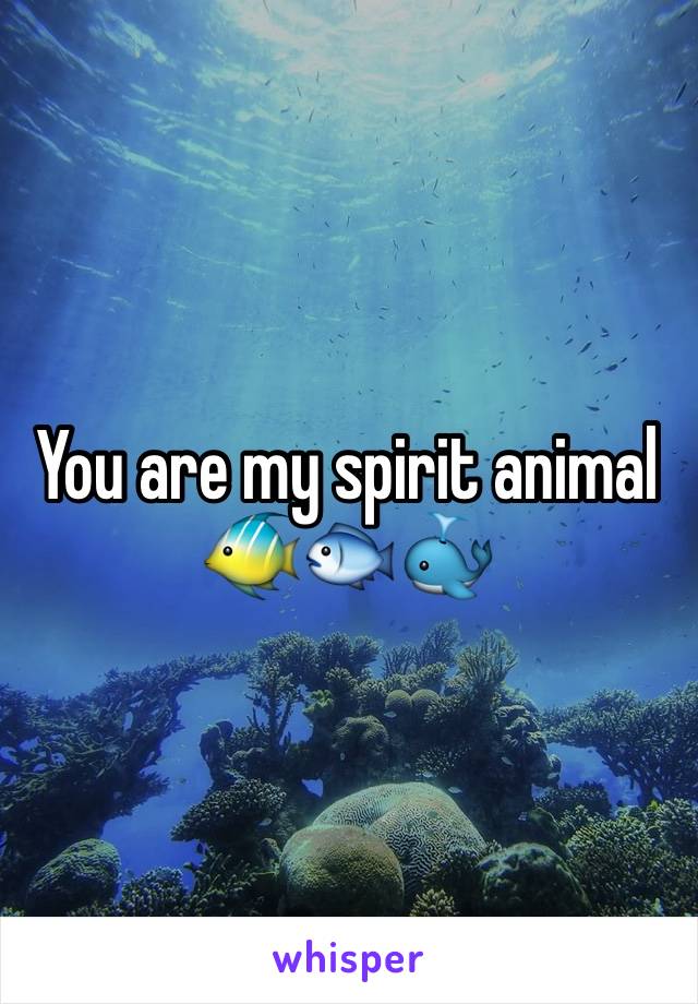 You are my spirit animal 🐠🐟🐳