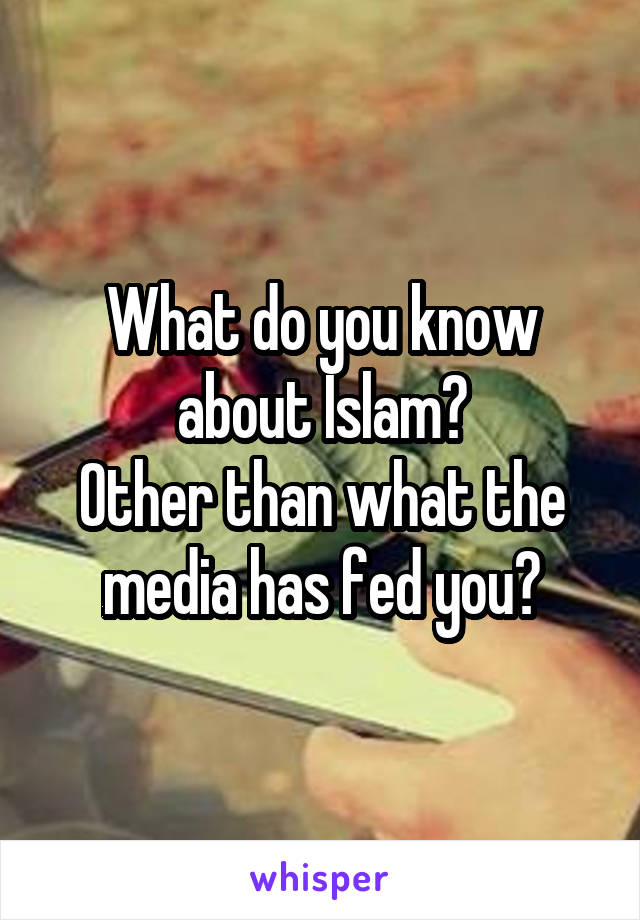 What do you know about Islam?
Other than what the media has fed you?