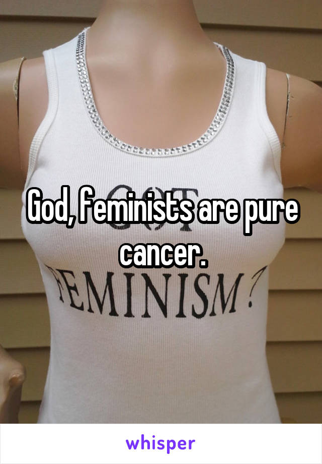 God, feminists are pure cancer.