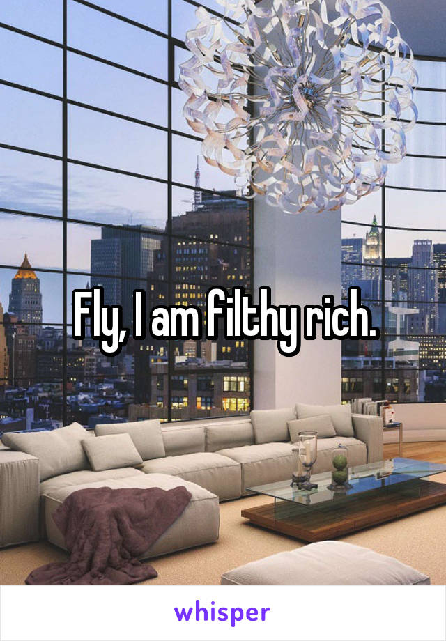 Fly, I am filthy rich.