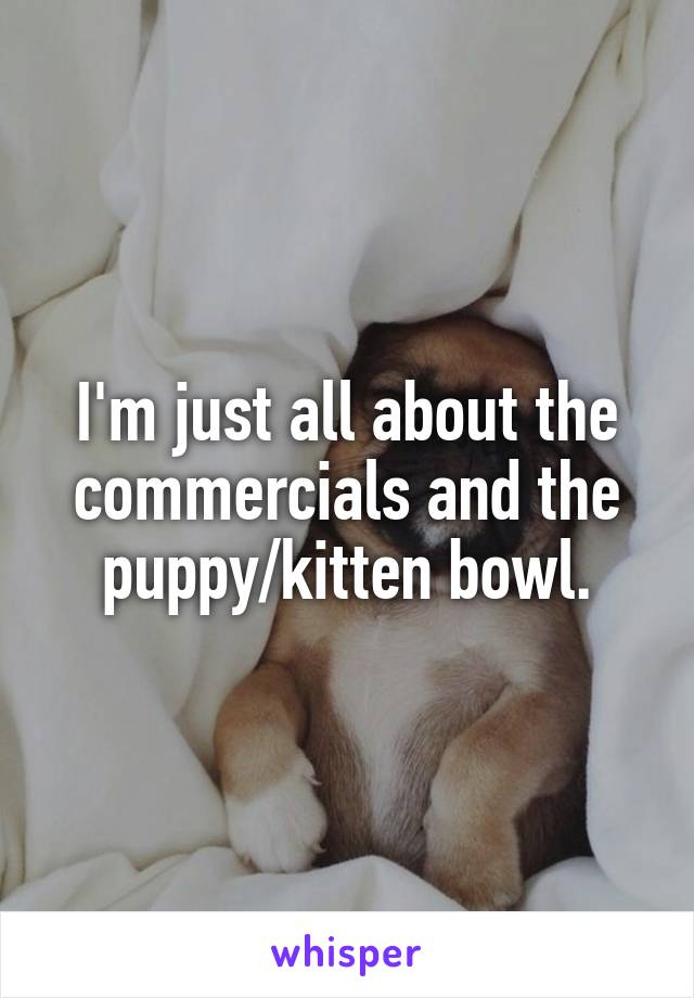 I'm just all about the commercials and the puppy/kitten bowl.