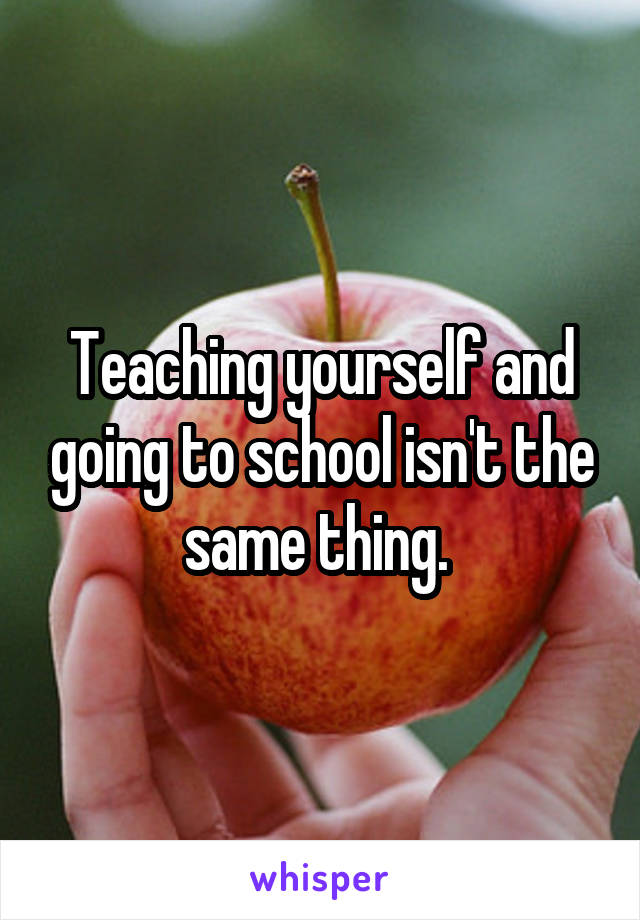 Teaching yourself and going to school isn't the same thing. 