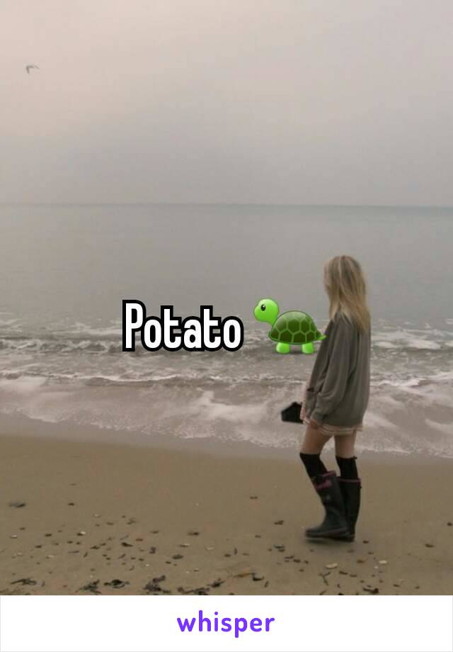 Potato 🐢