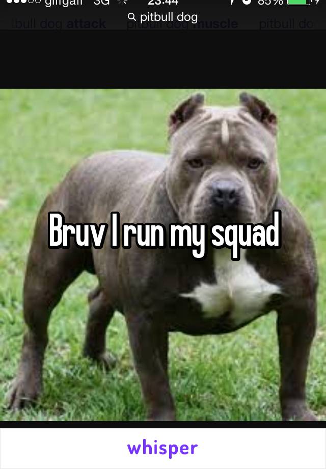 Bruv I run my squad