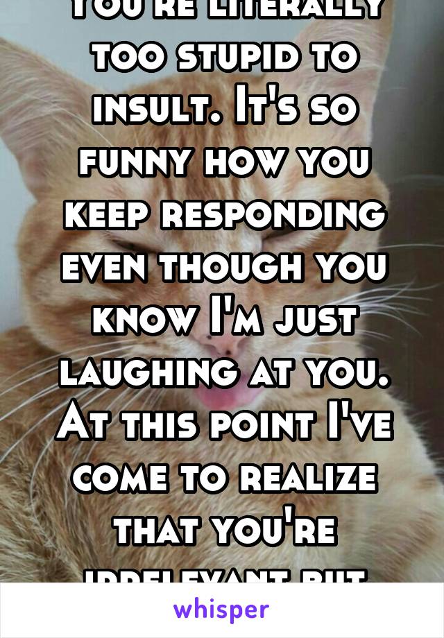 You're literally too stupid to insult. It's so funny how you keep responding even though you know I'm just laughing at you. At this point I've come to realize that you're irrelevant but hilarious.