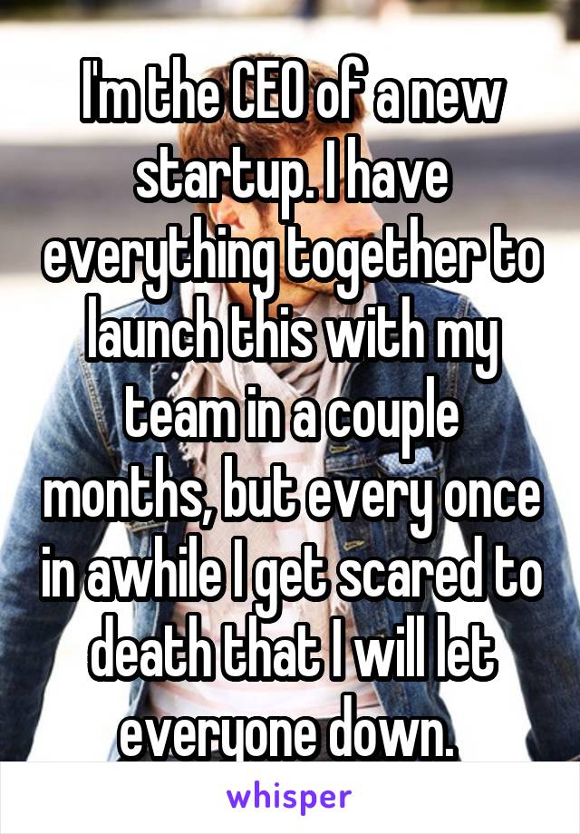 I'm the CEO of a new startup. I have everything together to launch this with my team in a couple months, but every once in awhile I get scared to death that I will let everyone down. 