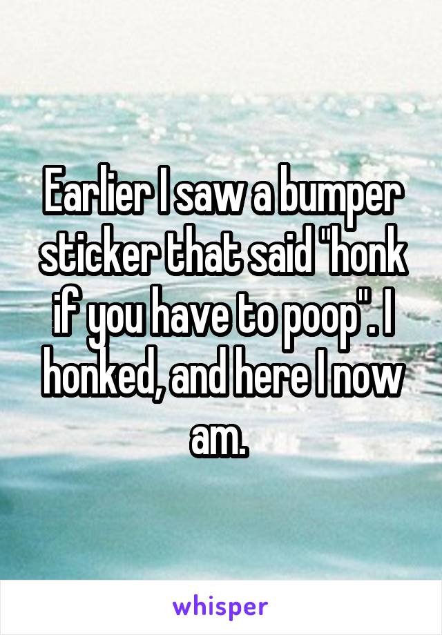 Earlier I saw a bumper sticker that said "honk if you have to poop". I honked, and here I now am. 