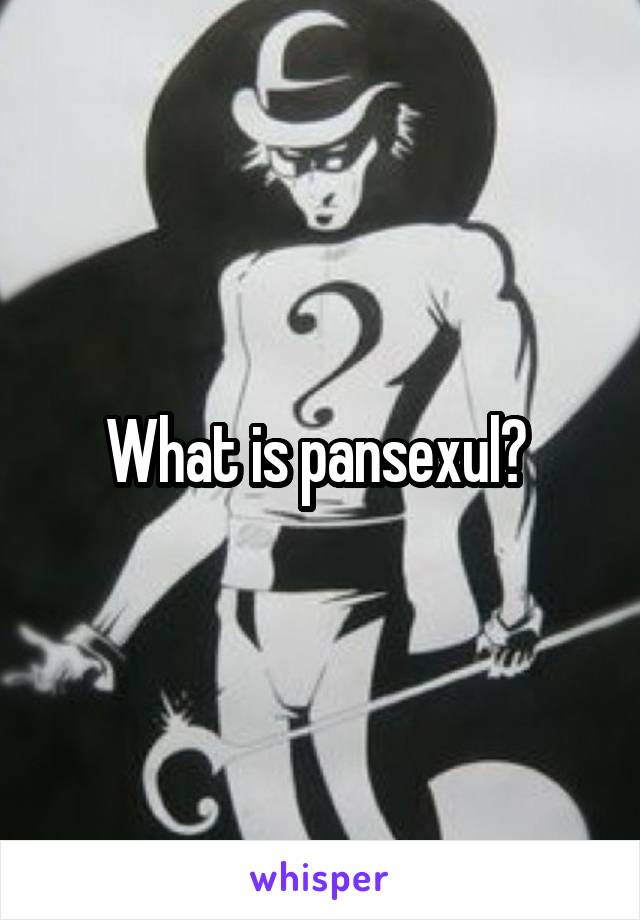 What is pansexul? 