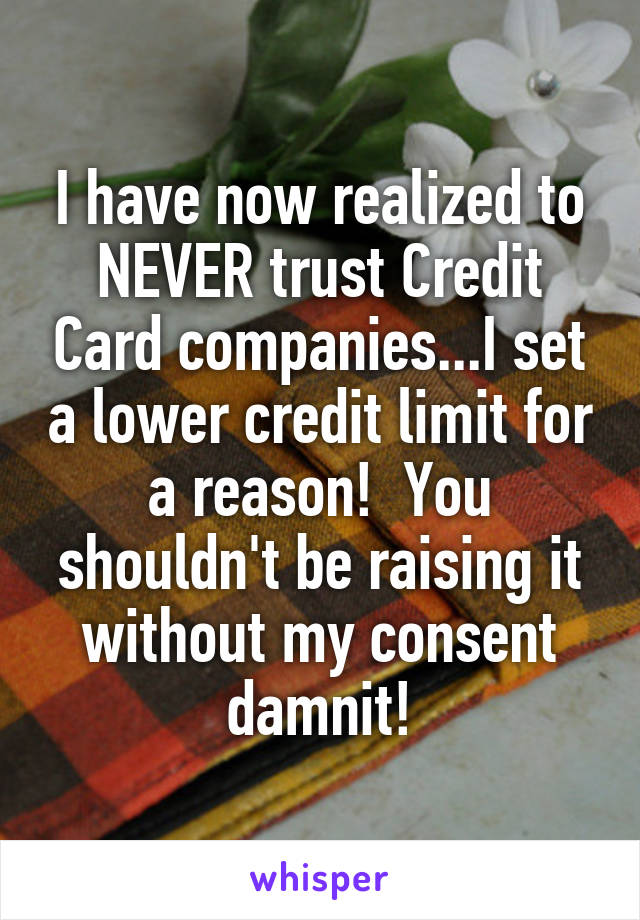 I have now realized to NEVER trust Credit Card companies...I set a lower credit limit for a reason!  You shouldn't be raising it without my consent damnit!