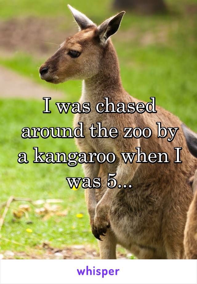 I was chased around the zoo by a kangaroo when I was 5...