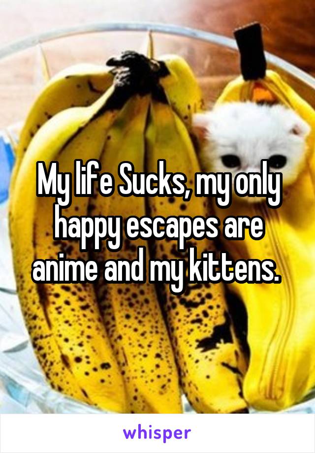 My life Sucks, my only happy escapes are anime and my kittens. 