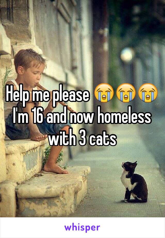 Help me please 😭😭😭 I'm 16 and now homeless with 3 cats 