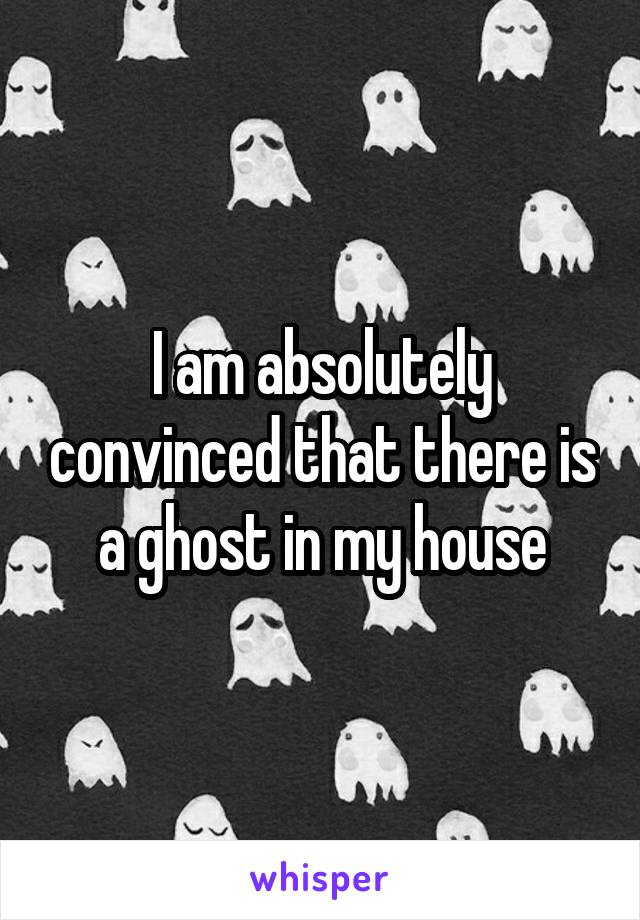 I am absolutely convinced that there is a ghost in my house